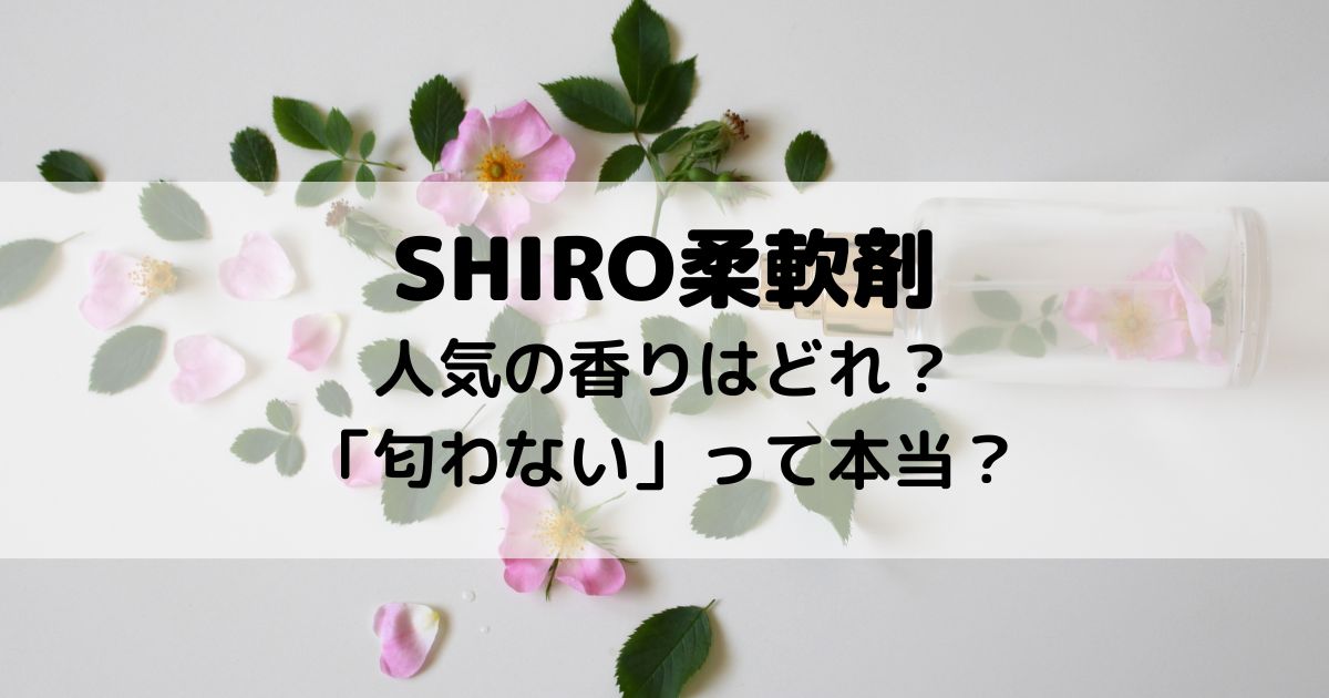SHIRO 柔軟剤 人気 香り